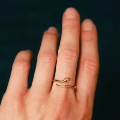 Bronzen ring slang (klein)