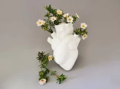 Decoratief anatomisch hart