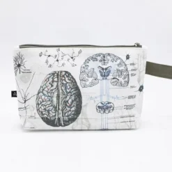 Etui anatomie van het brein