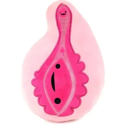 Etui vulva “yay for the va-jay-jay”