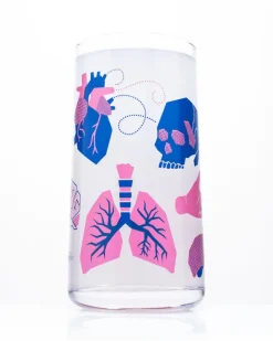 Glas retro anatomie