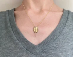 Gold filled halsketting met bronzen degenkrab