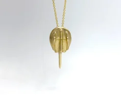 Gold filled halsketting met bronzen degenkrab