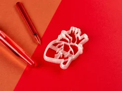 Kleivormpjes anatomie