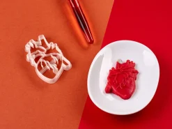 Kleivormpjes anatomie