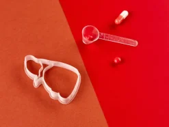 Kleivormpjes anatomie