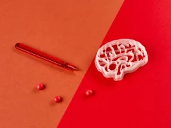 Kleivormpjes anatomie