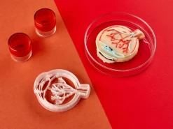 Kleivormpjes anatomie