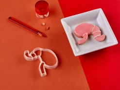 Kleivormpjes anatomie