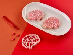 Kleivormpjes anatomie