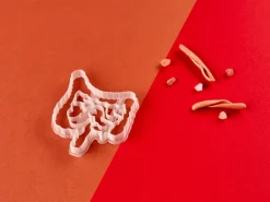 Kleivormpjes anatomie