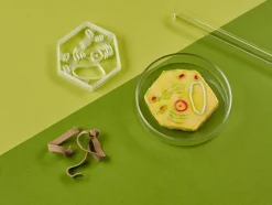 Kleivormpjes microbiologie