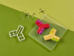 Kleivormpjes microbiologie