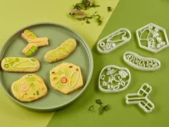 Kleivormpjes microbiologie