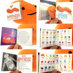 Knuffel appendix - Feel it in your gut