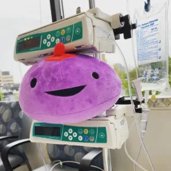 Knuffel borst - Gland of Milk & Honey