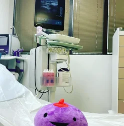 Knuffel borst - Gland of Milk & Honey