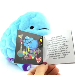 Knuffel brein - All you need is lobe