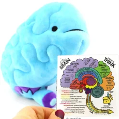 Knuffel brein - All you need is lobe