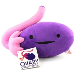 Knuffel eierstok - Ova Achiever
