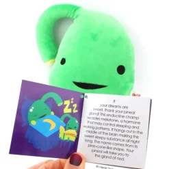 Knuffel epifyse - Sleep On It