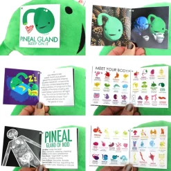 Knuffel epifyse - Sleep On It