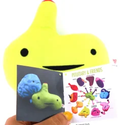 Knuffel hypofyse - Ain’t Life Gland?