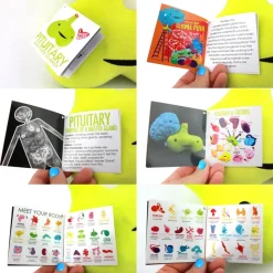 Knuffel hypofyse - Ain’t Life Gland?