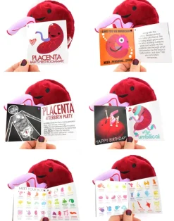 Knuffel placenta - Baby’s First Roommate
