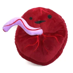 Knuffel placenta - Baby’s First Roommate