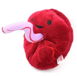 Knuffel placenta - Baby’s First Roommate