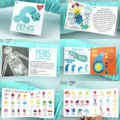 Knuffel/nekkussen penis met voorhuidzakje