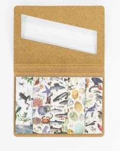 Page flags Shoreline