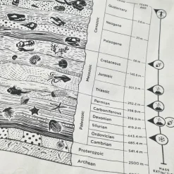 Schoudertas aardlagen/stratigrafie