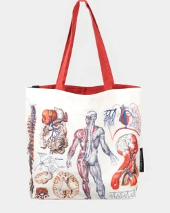 Schoudertas anatomie