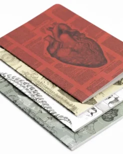 Set zaknotitieboekjes anatomie