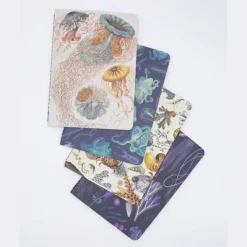 Set zaknotitieboekjes oceaan