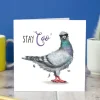 Wenskaart duif "Stay Coo'"
