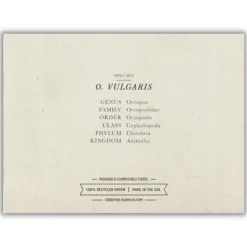 Wenskaart Europese achtarm