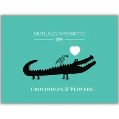 Wenskaart "Symbiotic like crocodiles and plovers"