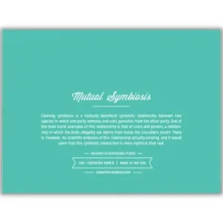 Wenskaart "Symbiotic like crocodiles and plovers"