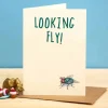 Wenskaart vlieg "Looking fly"