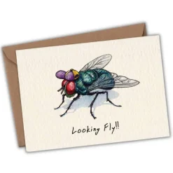 Wenskaart vlieg "Looking fly"