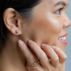 Zilveren oorbellen bronzen scarabee