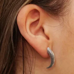 Zilveren oorbellen klauw