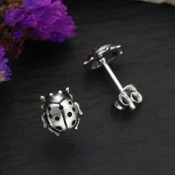 Zilveren oorbellen lieveheersbeestje