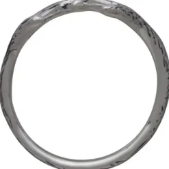 Zilveren ring gewei