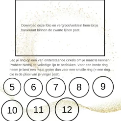 Zilveren ring met bronzen bij